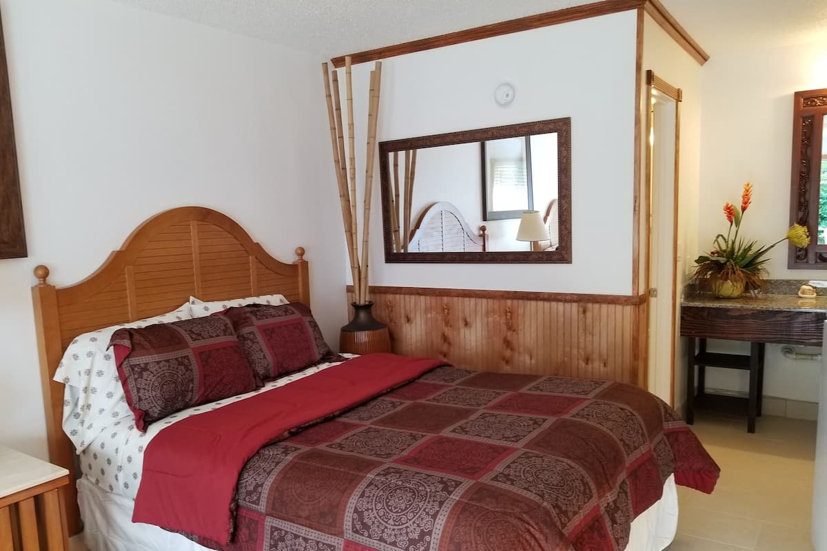 Premium-Einzelzimmer, 1 Queen-Bett und Schlafsofa