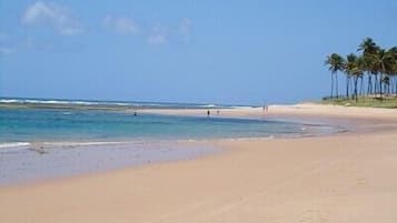Camastros y toallas de playa