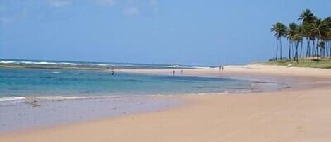Sun-loungers, beach towels