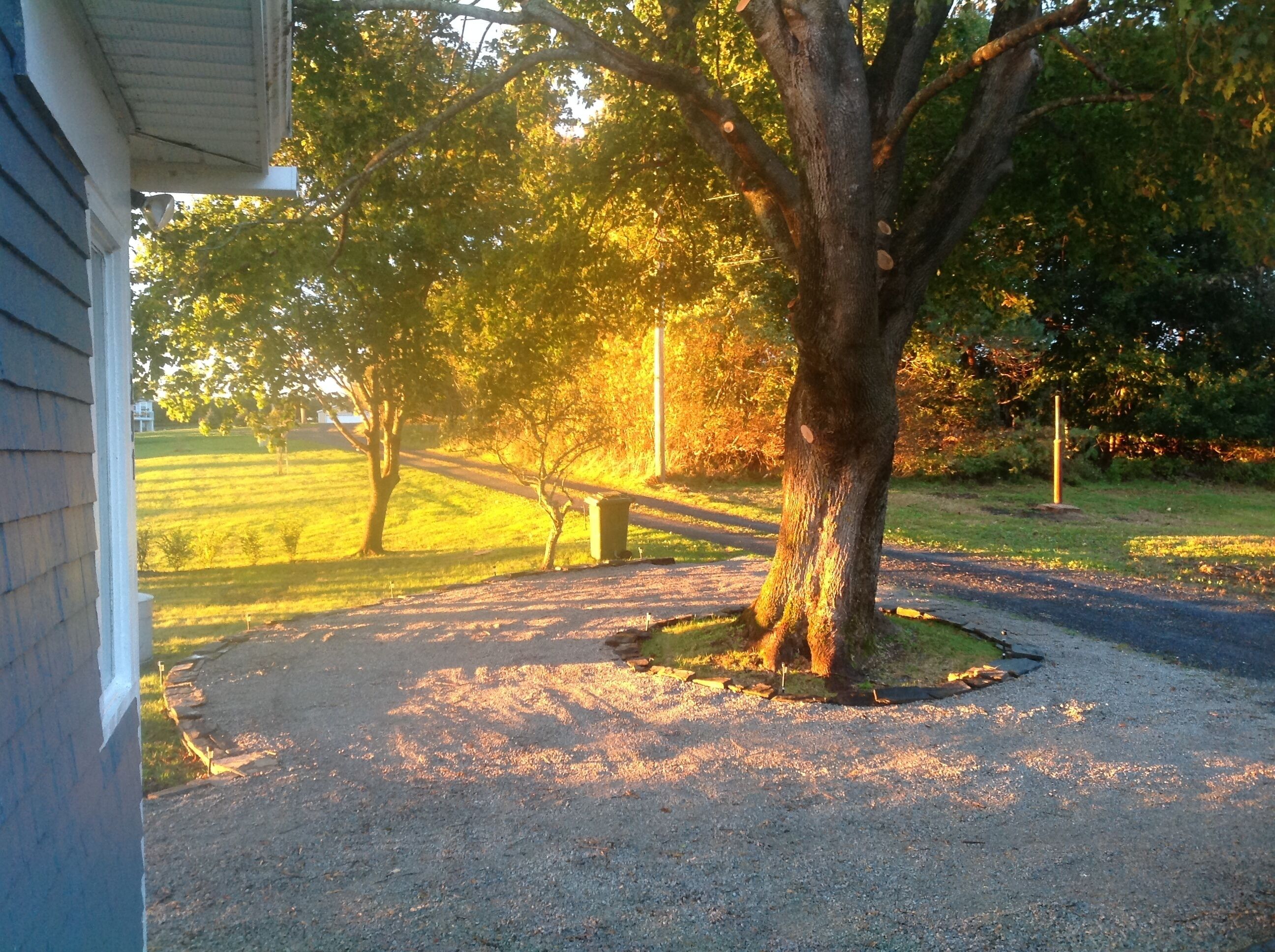 Terrein van de accommodatie