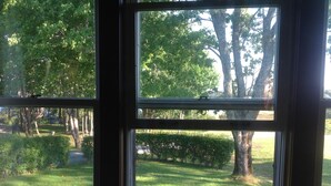 Ein Fenster mit Blick auf einen Rasen und Bäume.