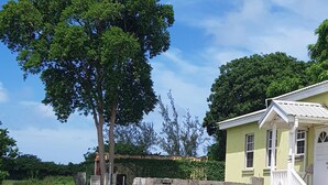 A residential area with a large tree, a yellow house, and a fenced yard. - AFFORDABLE ACCOMMODATION . VACATION SHORT OR LONG-TERM RENTALS . WELCOME TO ALL  (St. Michael)