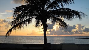 A palm tree silhouette against a sunset with the ocean in the background. - Newly Renovated. Less than 5 minutes walk  to the Beach!!! Free Hi Speed WiFi!! (Nassau)