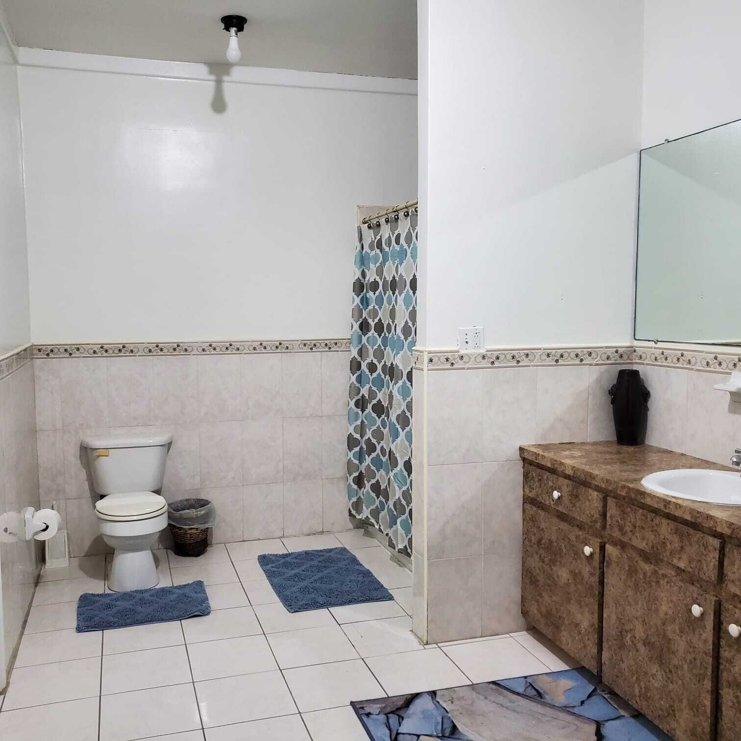 A bathroom with a toilet, sink, and shower curtain.