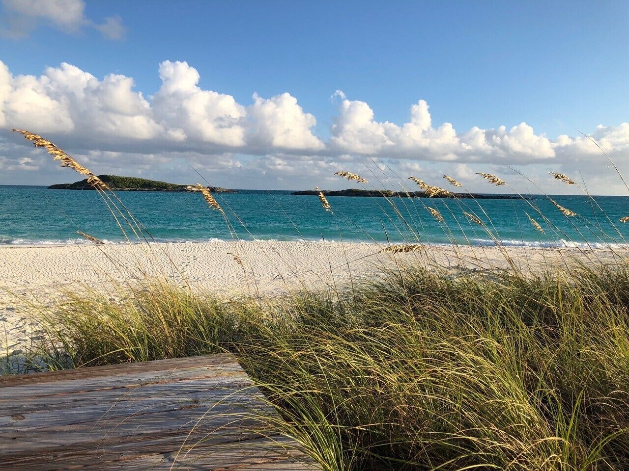 A beach with a wooden boardwalk leading to the shore, surrounded by tall grass and a clear blue sky.