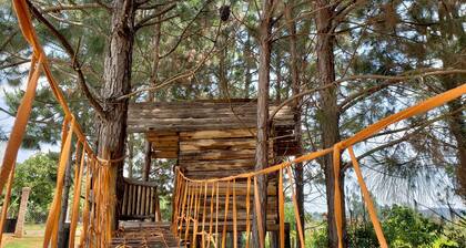 Maison de campagne pour événements et saisons avec espace de loisirs!