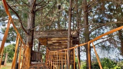 The ideal place to relax and share special moments with family and friends. 