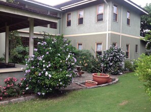 Property grounds - The Inn at 6 - Elegant & Pristine Home an Oasis in The City of Kingston (Kgn 6)