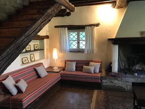TV, fireplace