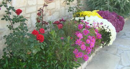 Family - friendly Luxury Stone-built Villa With Private Pool In Stroumbi