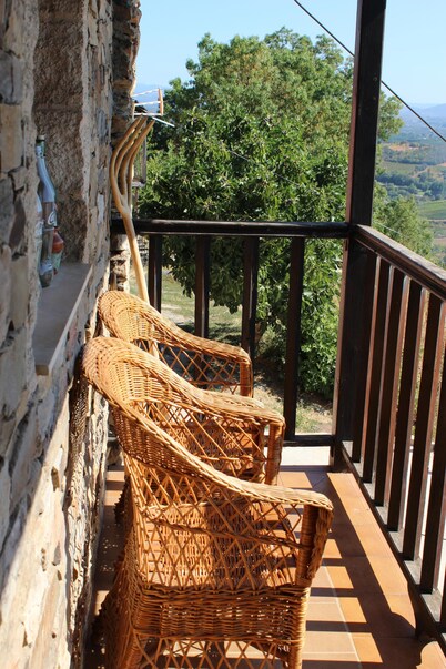RUSTIC HOUSE WITH ONE OF THE BEST VIEWS OF BIERZO