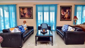 Een televisie, een open haard, een dvd-speler en een tafeltennistafel