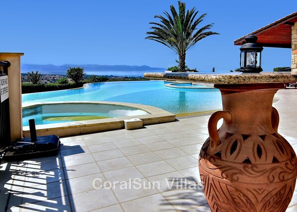 Un espace piscine avec vue sur la mer, un palmier et un vase décoratif.