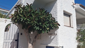 A white building with a tree in front, a blue door, and a sign reading "CASIOPEA".