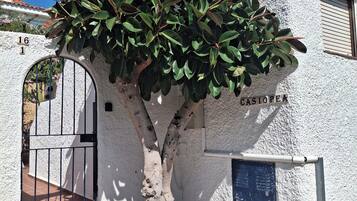 DĂ©tail de lâextĂ©rieur