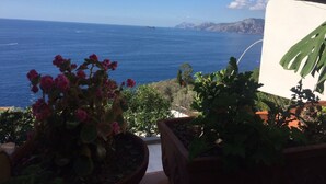 A balcony with potted plants and a view of the sea and distant mountains.