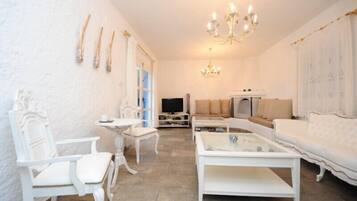 Smart TV, chimenea, reproductor de DVD y libros