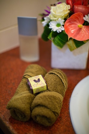 Shower, free toiletries, towels