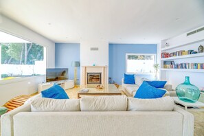 电视、壁炉、电子游戏、DVD 播放器