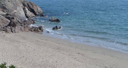 Seafront house with terrace on coastal path. 100 metres walk to beach