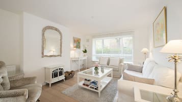 Smart TV, fireplace, DVD player, books