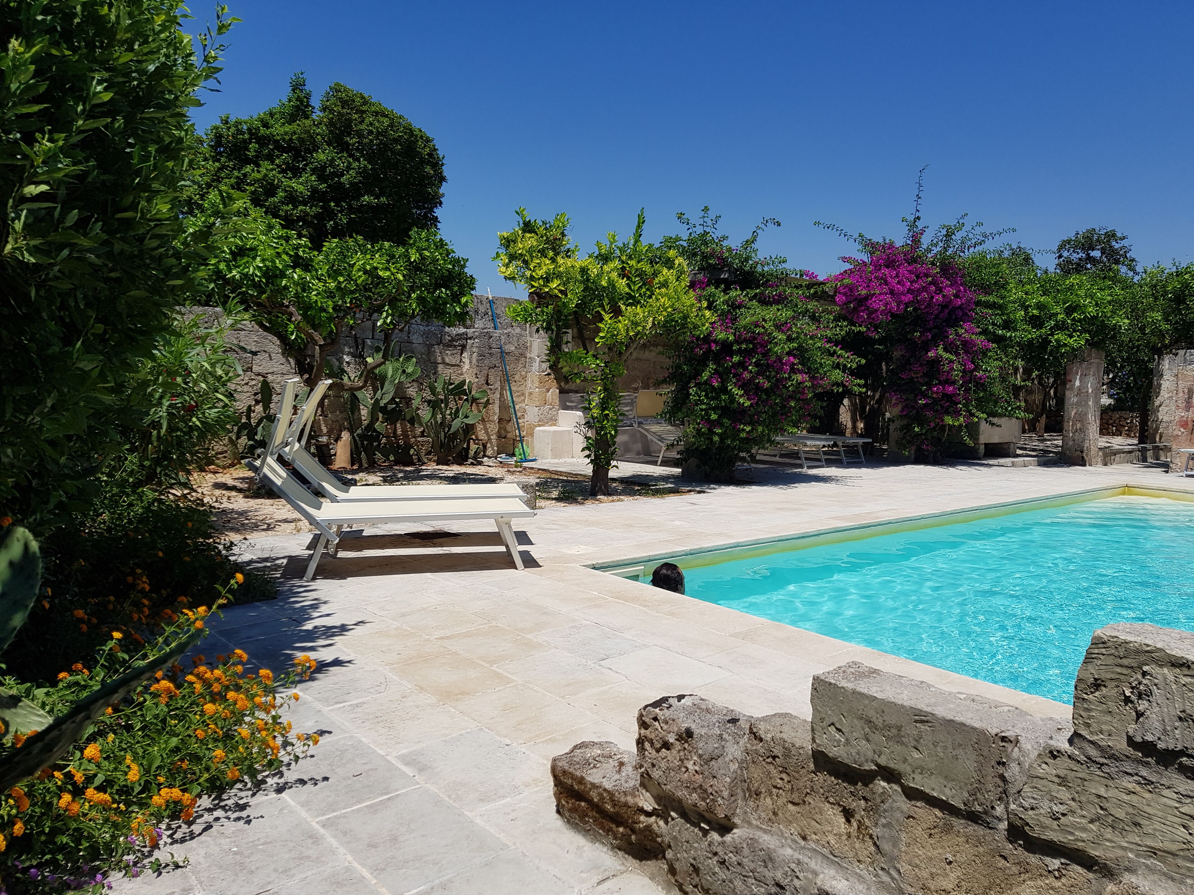 A pool area with a stone deck, a lounge chair, and various plants and flowers.