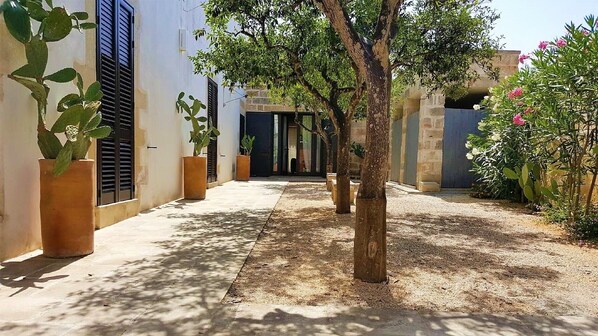 A courtyard with a pathway, potted plants, and a building with stone walls and shutters.