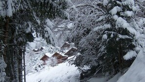 A snowy landscape with a pathway leading to a row of houses.
