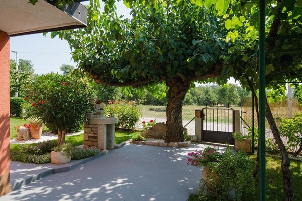 Área da propriedade