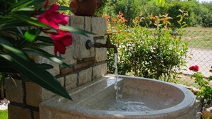 Une fontaine en pierre avec un bec verseur, entourée de plantes et d’une clôture.
