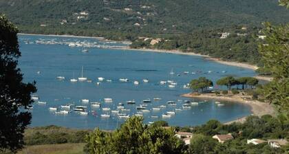 Pleasant and peaceful house