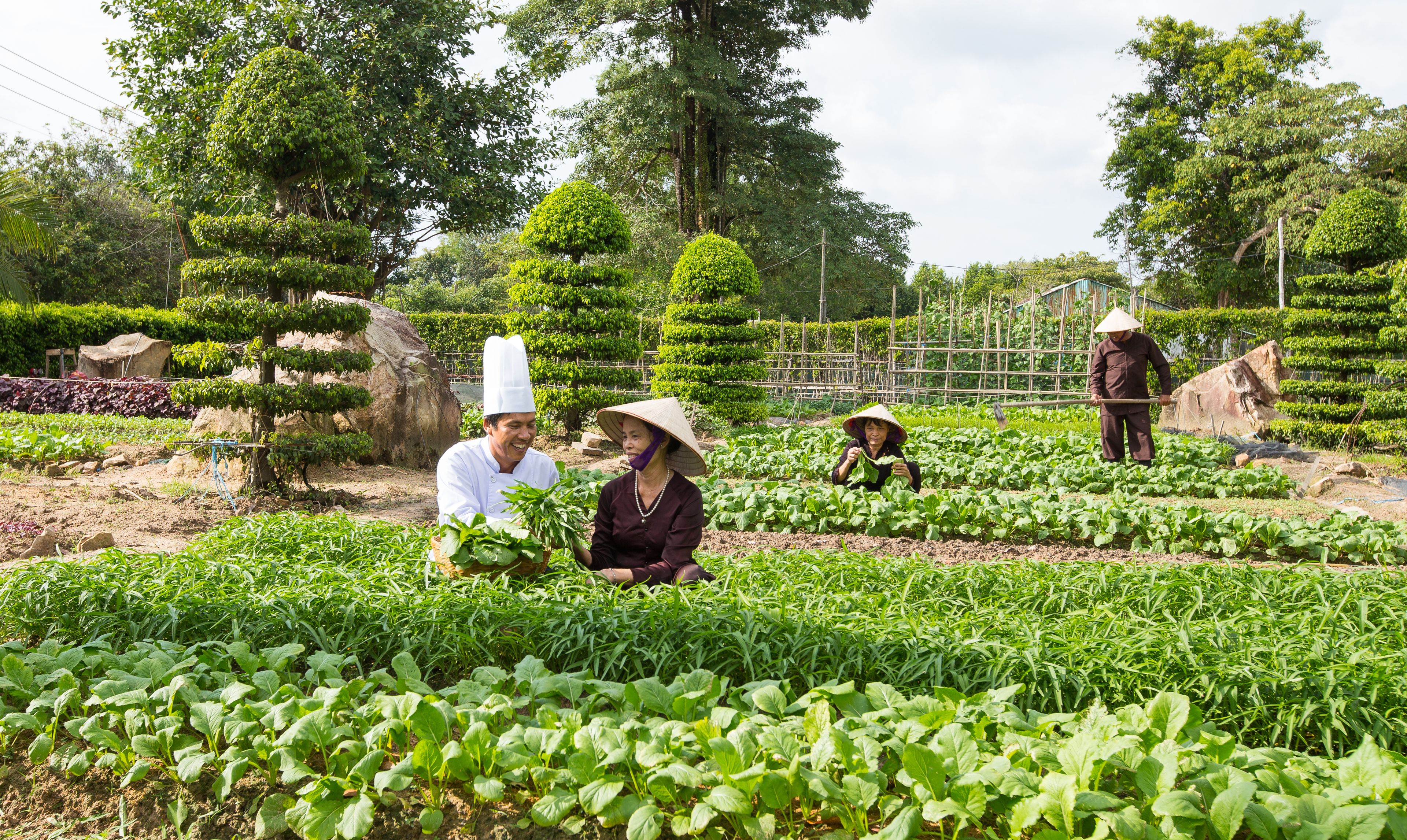 Jardín