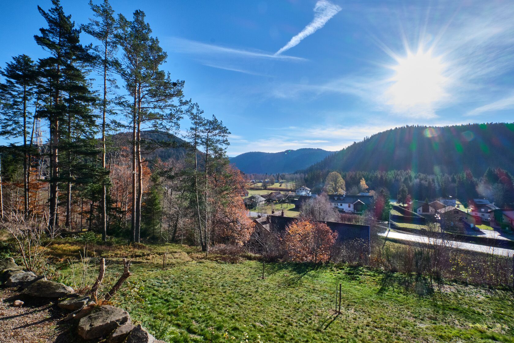 A rural landscape with a village, dense forest, and mountains in the background.