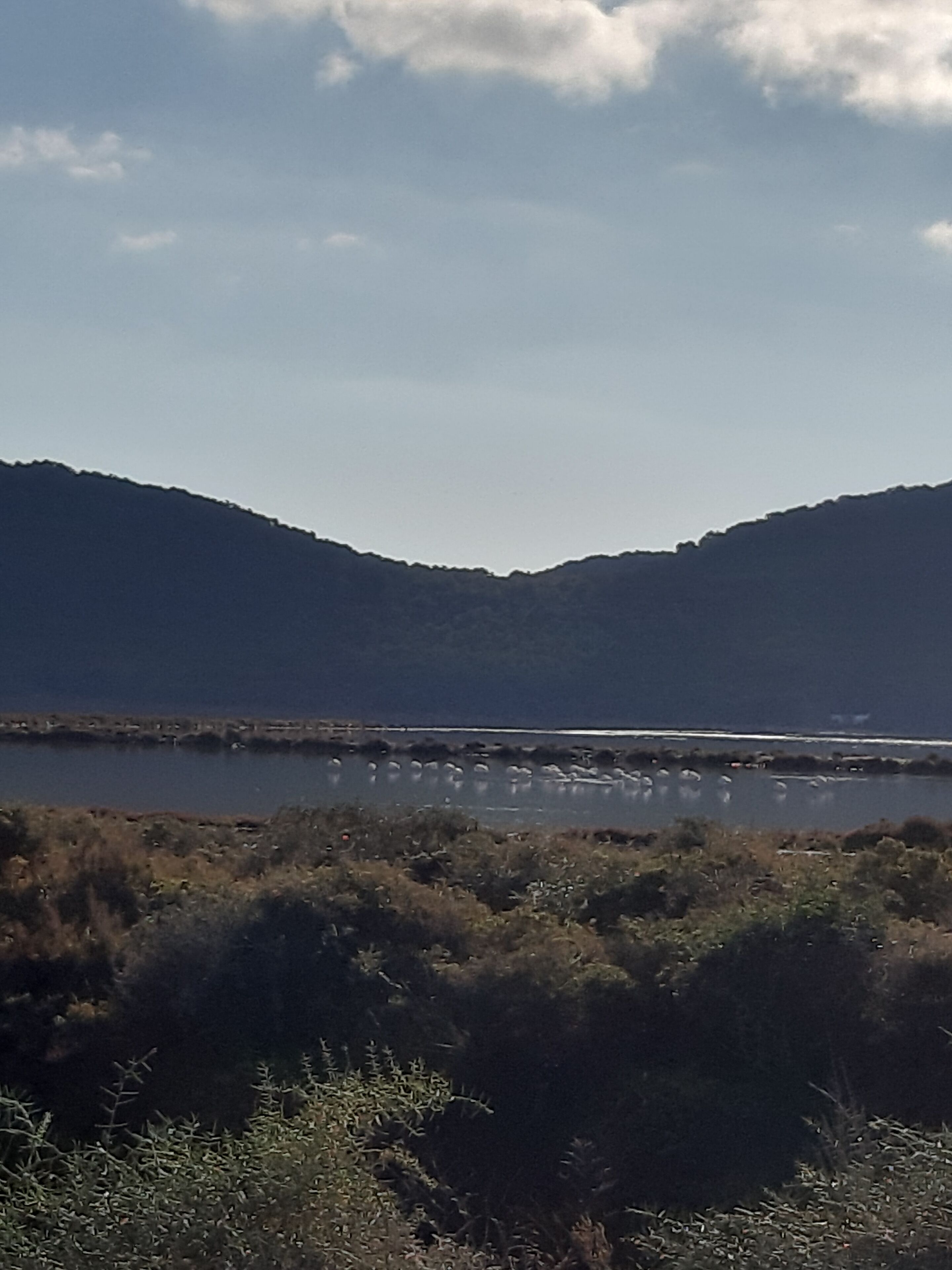 A natural landscape with a body of water, hills, and dense vegetation.