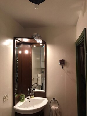 Shower, hair dryer, bidet, toilet paper