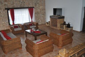 Fernseher