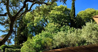Entre Ventoux et Luberon - La Roque/Pernes - Demeure de charme avec piscine.