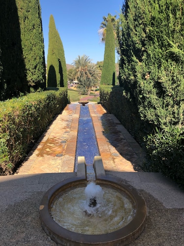 Las Palmeras - 3 Bed, 3 Bath, fiber optic internet, rooftop solarium, spacious