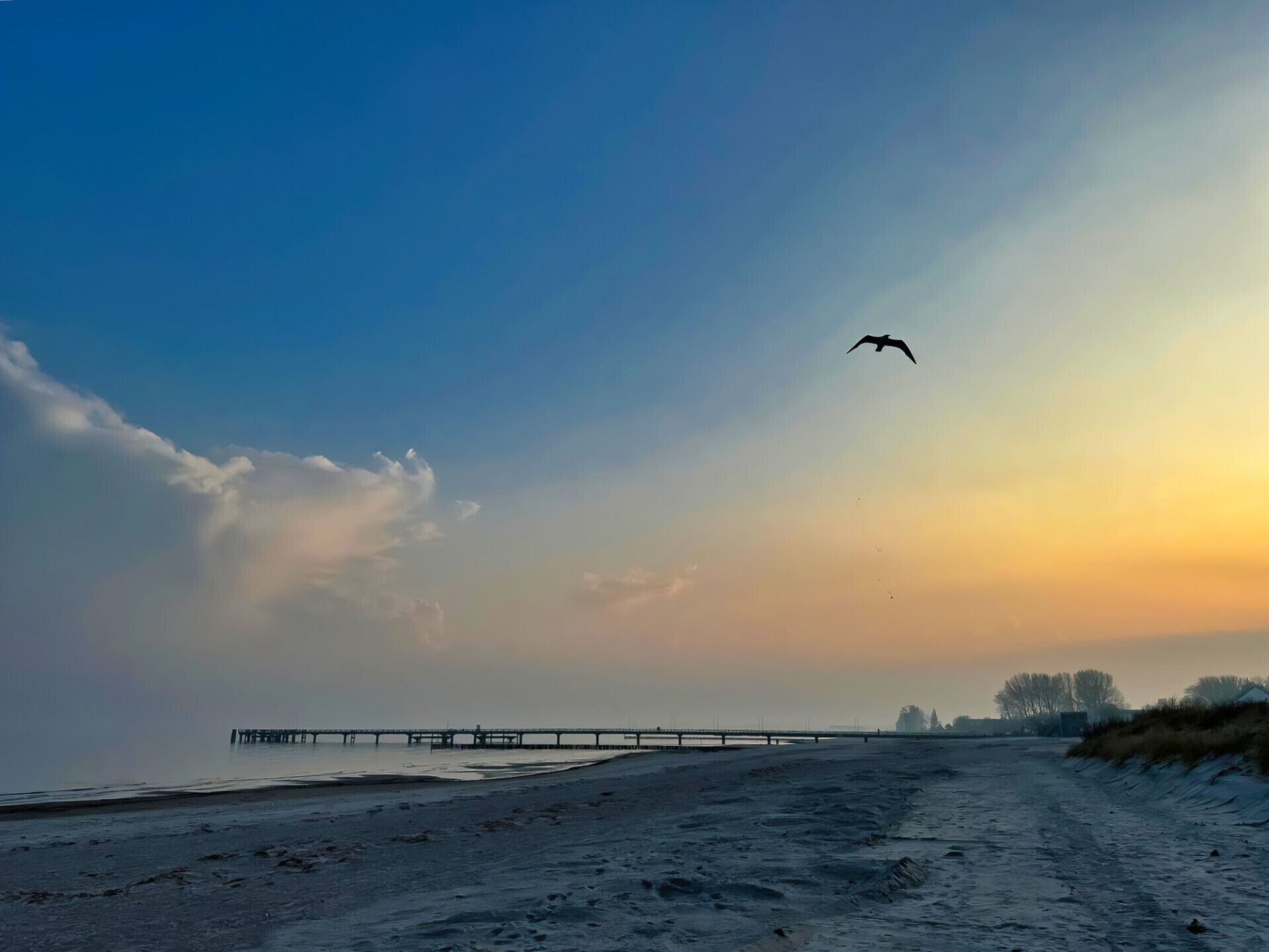 A beach with a pier extending into the water, a bird flying in the sky, and a sunset in the background.