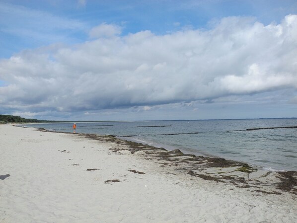 بالقرب من الشاطئ