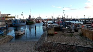 Marina - Cottage with fireplace, infrared sauna, wireless internet, washing machine, terrace (Glowe)