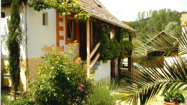 Une maison avec un toit en tuiles, un escalier en bois et un jardin où poussent différentes plantes et fleurs.