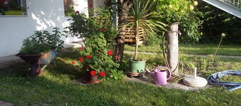 庭園のあるウィーンのアパート