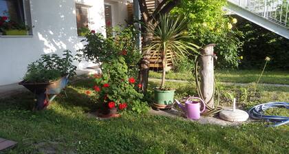 Vienna apartment with garden