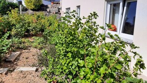 Uklassifisert bilde, 5 av 55, knapp