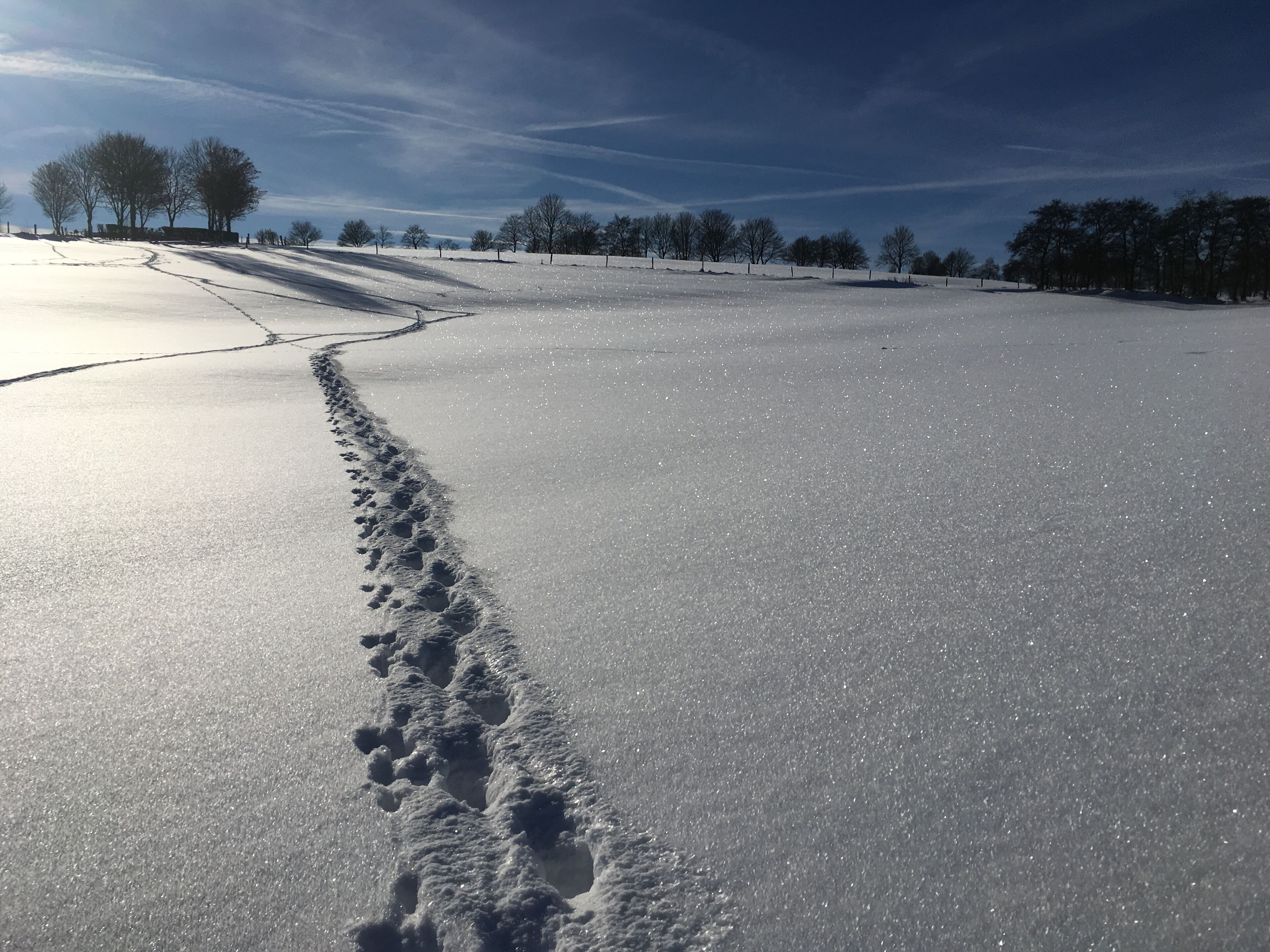 Paesaggio innevato con cielo sereno e un sentiero di impronte nella neve.