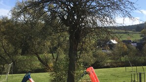 Un parque infantil con un tobogán y una estructura de escalada en un área verde con árboles y casas al fondo.