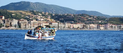 Un barco con pasajeros navegando en un cuerpo de agua, un pueblo costero con edificios al fondo y una cadena montañosa.