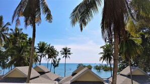 Un complexe hôtelier situé en bord de mer, doté de plusieurs hébergements de type bungalow, de palmiers et offrant une vue sur l’océan.