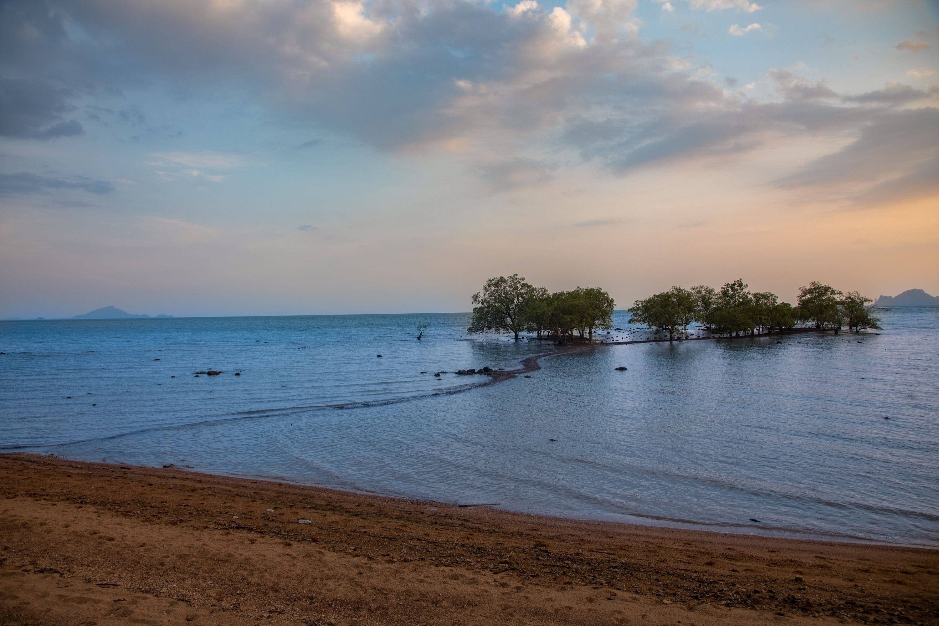 Une plage aux eaux calmes, un rivage sablonneux et une petite île couverte d’arbres.
